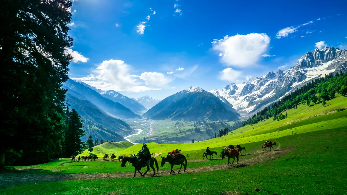 destination image